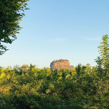 Chena Huts Eco Resort Sigiriya Exteriör bild