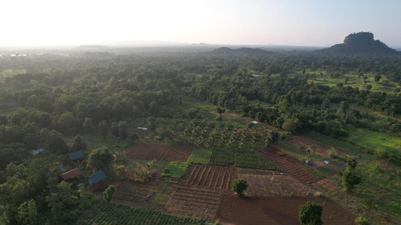Chena Huts Eco Resort Sigiriya Exteriör bild