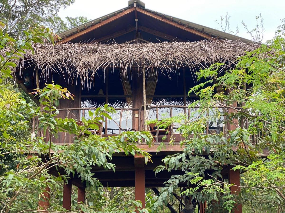 Chena Huts Eco Resort Sigiriya Exteriör bild