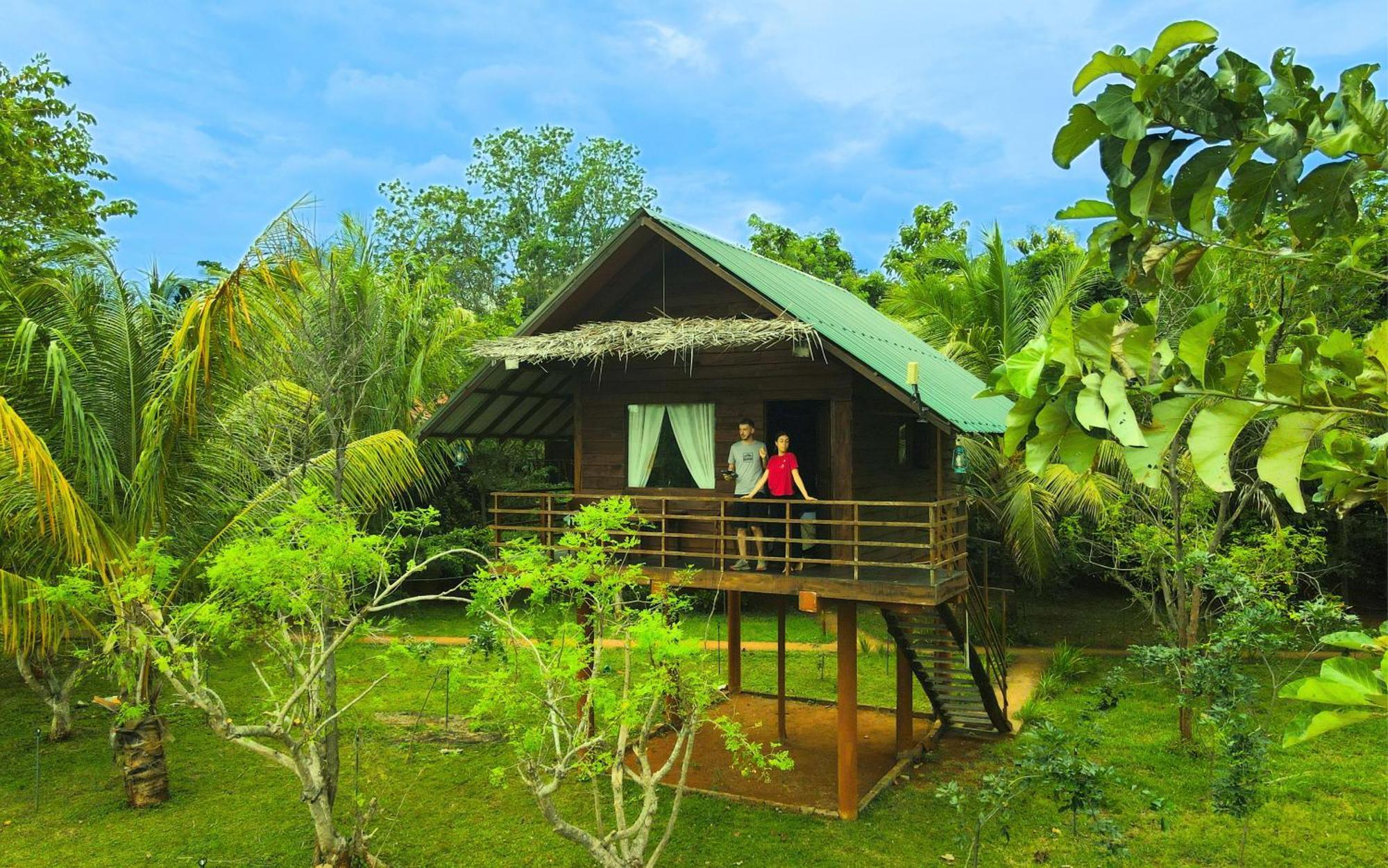 Chena Huts Eco Resort Sigiriya Exteriör bild