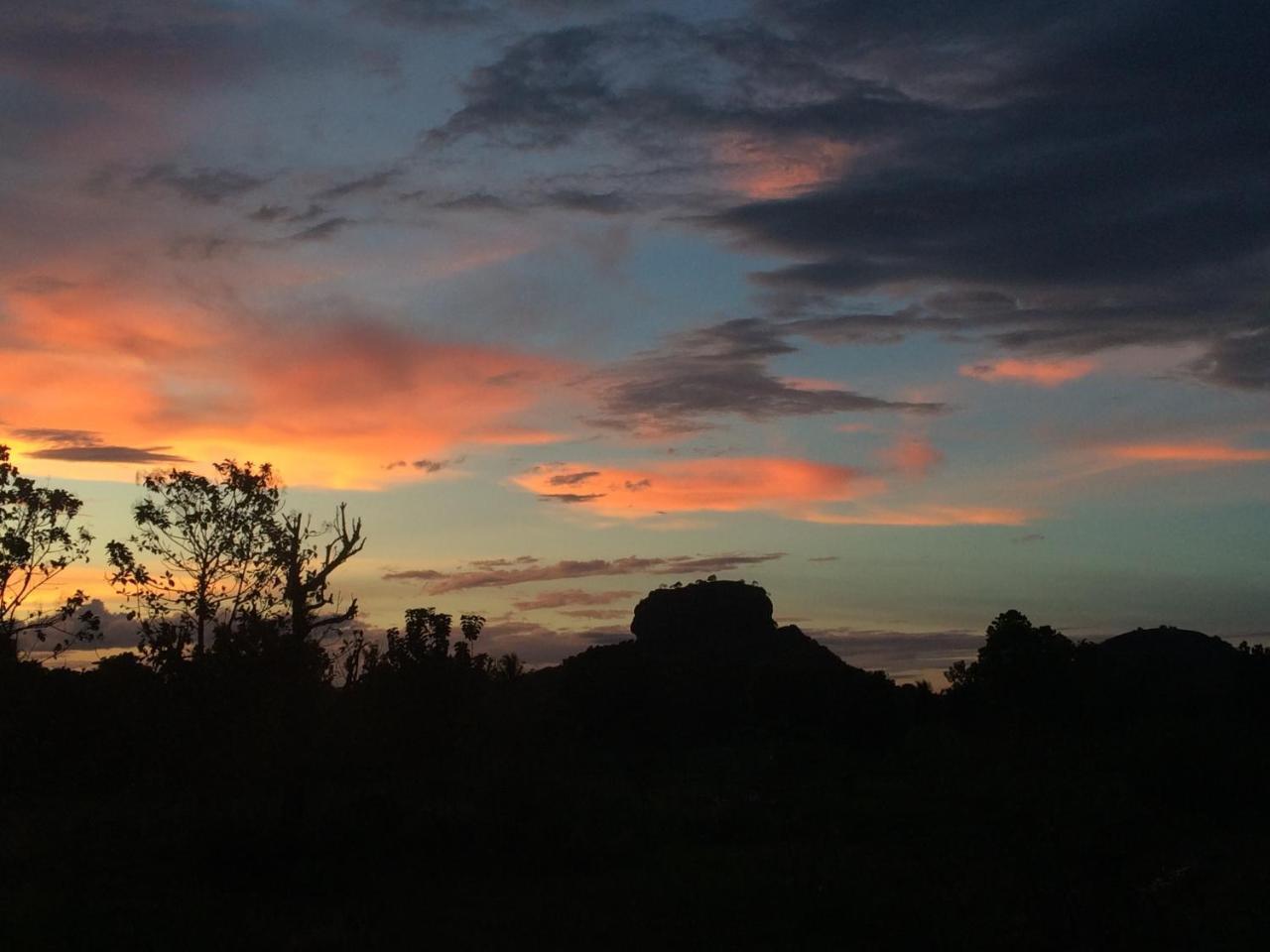 Chena Huts Eco Resort Sigiriya Exteriör bild
